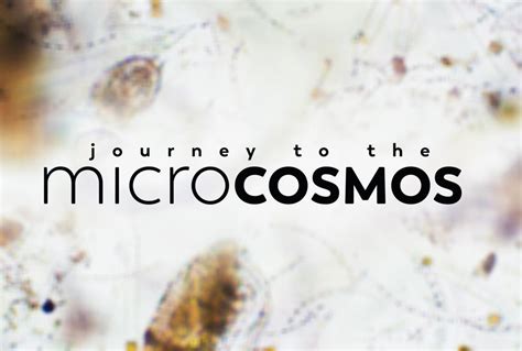  Journey to the Microcosmos! A Detailed Look at the Educational Adventure That Shrinks You Down