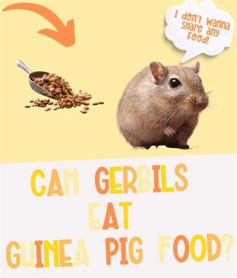 Can Guinea Pigs Eat Hamster and Gerbil Food? Exploring the Nutritional Maze of Small Pets