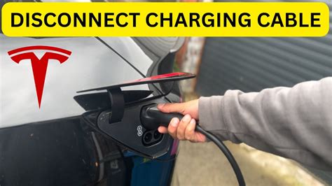 Can You Unplug an Electric Car While Charging? And Why Do Pineapples Dream of Electric Sheep?