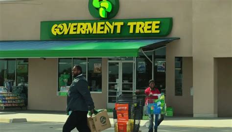 Does Dollar Tree Accept Food Stamps? Exploring the Intersection of Budget Shopping and Government Assistance