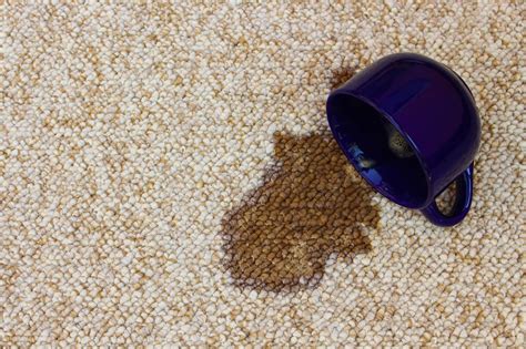 How to Remove Tea Stain from Carpet: A Journey Through Time and Fabric