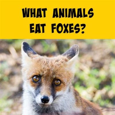 What Eats a Fox in a Food Chain: And Why Do Foxes Dream of Electric Sheep?