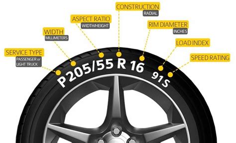 What Psi for Spare Tire: A Journey Through Pressure, Philosophy, and the Art of Letting Go